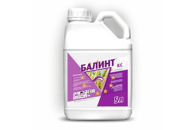 Балинт