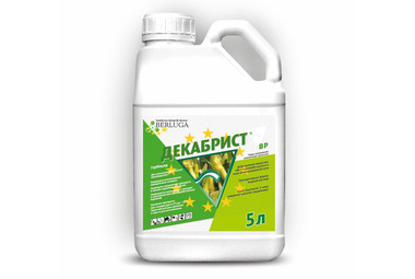 Декабрист