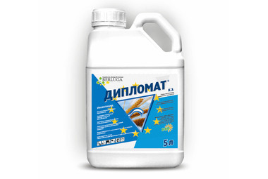 Дипломат